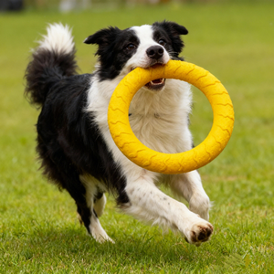 Juguete Duradero de EVA para Mascotas, Pelota y Anillo de Juguete para Perros, Suministros y Regalos Promocionales para Cachorros - Product Image 3