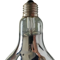 Ampoule de lampe chauffante à revêtement haute température et antidéflagrant 250W R125 Meilleures lampes chauffantes pour buffet chauffantes commerciales