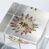 Presse-papiers artisanal en résine époxy transparente avec cube de scorpion véritable et fleur de pissenlit véritable en résine