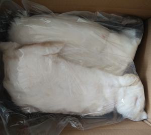 Conejos congelados puros y llenos de nutrientes para mascotas Carnívoras - Product Image 4