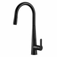 Robinet de cuisine monocommande noir mat avec bec long pivotant, mitigeur moderne sans plomb, économie d'eau, résistant à la rouille