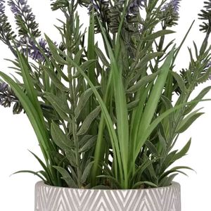 Flores Secas Naturales Decorativas en Oferta, Flores de Lavanda Secas para Decoración de Interiores y Exteriores para Bodas - Product Image 5
