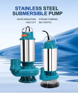 Unbedruckte Abwasserpumpe-System aus Edelstahl 380 V Unterwasserpumpe Abwasserpumpen