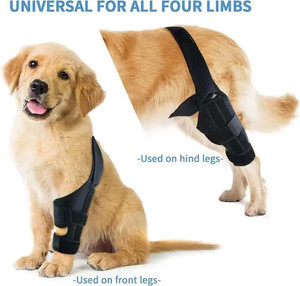 Manga de soporte de rodilla para perro ajustable suave protección transpirable gruesa para recuperación de ACL tamaño <span class=keywords><strong>M</strong></span> almohadillas para articulaciones de piernas envoltura - Product Image 3