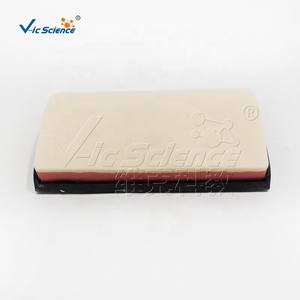 Módulo <span class=keywords><strong>de</strong></span> Entrenamiento <span class=keywords><strong>de</strong></span> Sutura Curva para <span class=keywords><strong>Estudiantes</strong></span> <span class=keywords><strong>de</strong></span> Enfermería, Práctica <span class=keywords><strong>de</strong></span> Operaciones Clínicas y Enseñanza en Facultades <span class=keywords><strong>de</strong></span> Medicina, con Certificaciones CE/ISO/ROHS/CNAS - Product Image 3