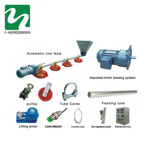 Sistema automático <span class=keywords><strong>de</strong></span> alimentación <span class=keywords><strong>de</strong></span> <span class=keywords><strong>pollo</strong></span> para animales <span class=keywords><strong>de</strong></span> granja avícola <span class=keywords><strong>de</strong></span> buena calidad a la venta - Product Image 2