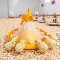 Équipement d'alimentation automatique fiable pour volailles, système de mangeoire à plateau pour poulets, pour élevage de poulets de chair