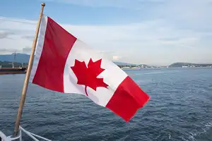 High Quality Cheap 3x5ft Customizable Size Canada Flag National Flag