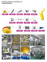Ligne de production de jus de mangue multifonctionnelle pour la transformation des fruits tropicaux, des pommes, des oranges et des boissons