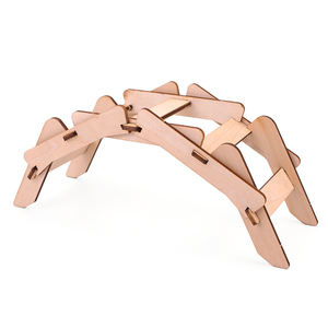 <span class=keywords><strong>Vente</strong></span> directe <span class=keywords><strong>d</strong></span>'usine de jouets éducatifs en bois pour enfants, kit éducatif STEM - Product Image 5