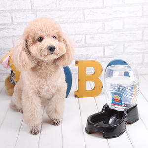 Holesale-<span class=keywords><strong>bebedero</strong></span> automático de plástico para perros, <span class=keywords><strong>bebedero</strong></span> para mascotas, 400ml - Product Image 5