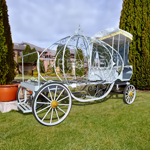 Carroza Fúnebre Eléctrica de Lujo con Remolque Comercial, Vehículo Funerario a Bajo Precio, Transporte Especial - Product Image 4