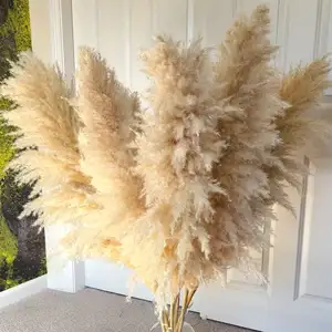 Pampas Grass 20" Dried Flowers Floral Decorations Dyed for Interior Decor Wedding 45 Stems Black New Year Decoration 2 Bags