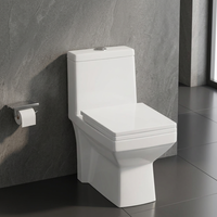 WC monobloc en céramique à siphon en S, chasse d'eau à jet Tornado, à poser au sol, toilettes occidentales
