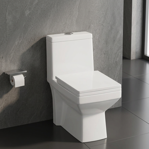 WC monobloc en céramique Vistaar à chasse d'eau par siphon à jet, à poser au sol, pour lavabo - Product Image 3