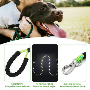 julius caesar dog harness