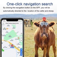 Traceur GPS solaire pour bétail avec positionnement BeiDou, précision de 5 m, étanche IP67, puce 1K, pour bovins, ovins, chevaux, chameaux, animaux de montagne