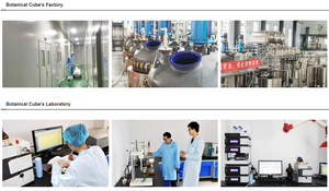 B.c.i resveratrol 501-36-0ทรานส์95% 98% 99% ผง Resveratrol - Product Image 6