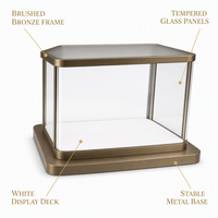 Vitrine de présentation de bijoux sur mesure pour les magasins de bijoux en or, les détaillants et les showrooms