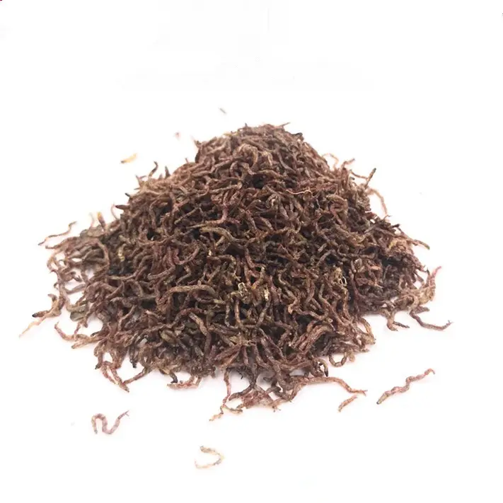 hot sale dried blood worms small fish food