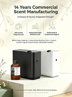 Huile aromatique boisée longue durée B2B, concentrée, de haute qualité, sans eau, pour hôtels et usage commercial