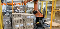 Le vide d'air de robot de palletisation de KUKA aspire le carton d'aspiration