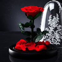 Bunga Mawar Awet Terlaris dalam Kubah Kaca, Bunga Awet Multiwarna, Hadiah Hari Valentine, Bunga Buatan