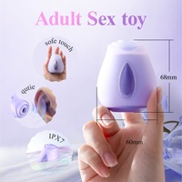 Vibrateur à succion rose dégradé en gros d'usine, produit sexuel pour adultes, 10 fréquences, rechargeable magnétique