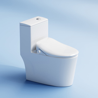 Siège de toilette intelligent de luxe en forme de V avec bidet électrique, siège chauffant et buse autonettoyante pour salle de bain moderne OEM ODM