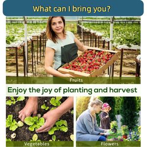 دفيئة صغيرة مع أبواب بسحاب ونوافذ ملفوفة ، دفيئة نباتية محمولة مع غطاء PE متين مقاوم للماء ومقاوم للأشعة فوق البنفسجية - Product Image 3