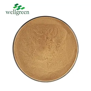 Factory Outlet Shitake Extract Magic Button Blend Shiitake Lentinus Edodes Mushroom Powder