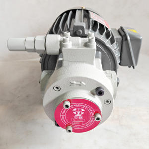 Pompa trocoide Gerotor lubrificazione pompa olio circolante 220V 380V TSWU KWAN TK3020 + 2HP TK3015 circolazione lubrificante - Product Image 2