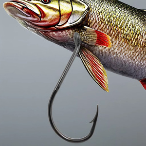 Hameçons de pêche TOPIND en acier à haute teneur en carbone, à tige longue, pour eau salée et eau douce, hameçons circulaires à ardillon pour rivière, ruisseau et lac - Product Image 5