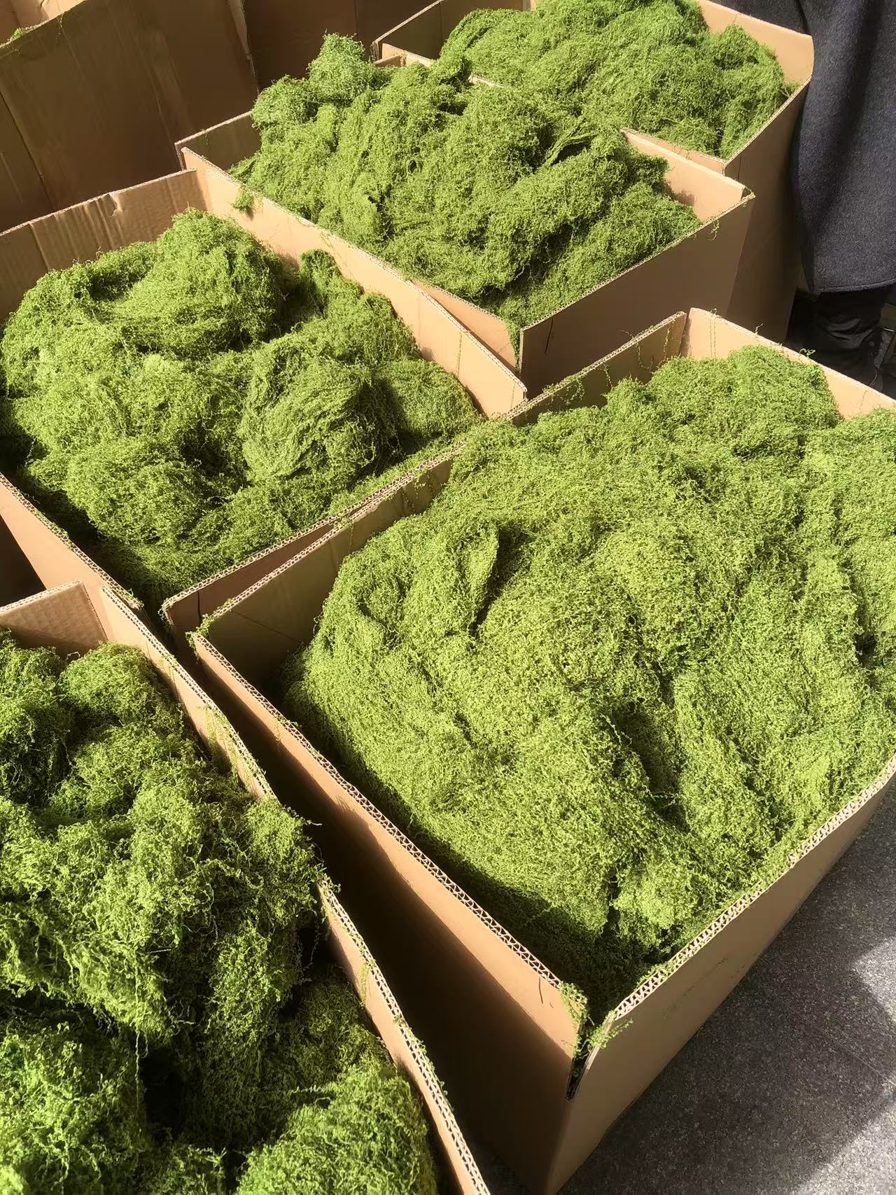 artificial shredded moss
