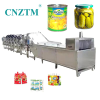 Machine de pasteurisation alimentaire automatique à bain-marie miniature CNZTM, en acier inoxydable 304, économe en énergie, certifiée ISO CE, personnalisable