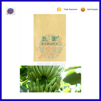 Usine en gros de haute qualité étanche à l'eau éviter les parasites fruits banane protection kraft couverture sac en papier