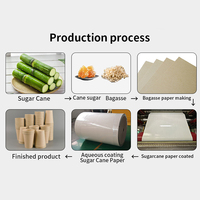 Échantillons Gratuits – Papiers à Rouler en Pulpe de Bagasse de Canne à Sucre Sans Plastique, Biodégradables, Compostables, Barrière à Base d'Eau, Qualité Alimentaire