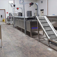 Machine automatique de fabrication de frites de pommes de terre, de chips, de bonbons et de fruits, ligne de production de friteuse croustillante, acier inoxydable de qualité alimentaire