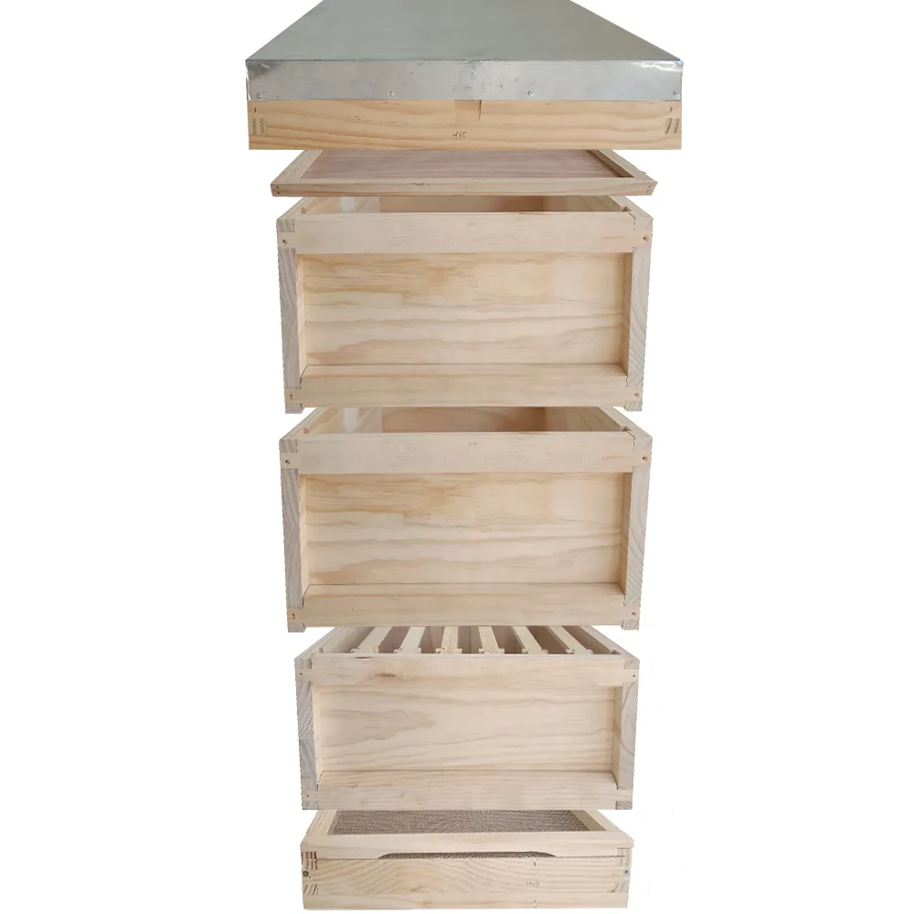 Custom National Langstroth Bee Hive Box Equipamentos Apicultura Colmeia De Madeira