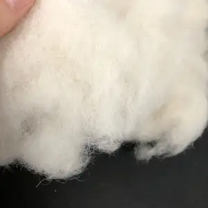 Carded Sheep Wool Waste Scoured Wool Noils für Teppich garn