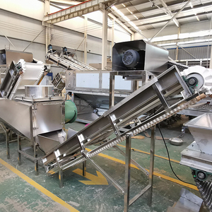 Línea de producción de ajo de conjunto completo automático Industrial, máquina peladora de ajo, máquina peladora separadora de ajo - Product Image 5