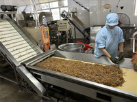 Brote de bambú orgánico secado al sol sin azufre, verduras conservadas naturales directamente de fábrica china