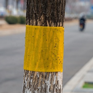 חקלאות רול דבק מלכודת 30cm * 100m או 15cm * 100m - Product Image 4