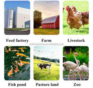 Rouleau de presse à matrice plate <span class=keywords><strong>Pelletier</strong></span> Machine à granulés d'alimentation Équipement pour volaille Machine d'élevage de poulet Machine à presser les aliments pour animaux - Product Image 5