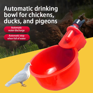 Bebedero de agua para aves de corral con taza de plástico y tapa negra, tipo tazón para pollos - Product Image 4