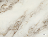 Panneau mural en feuille de marbre PVC avec revêtement UV pour la décoration