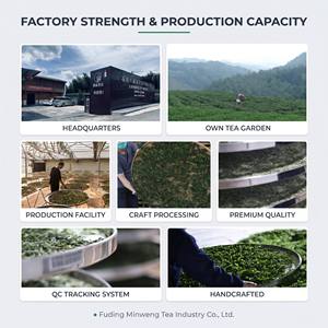 ชาขาวกงเม่ย ฟู่ติ้ง ปี 2023 ลาวไป๋ชา อัดก้อน กลิ่นพุทราหอมละมุน ชาจากภูเขาสูง - Product Image 5