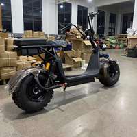 2025 cadre en acier vélo de ville électrique Scooter électrique frein à disque 1000w 1500w 2000w hors route gros pneu Citycoco pour hommes et femmes