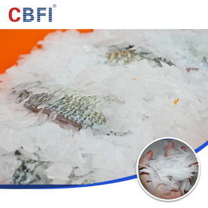 Máy Làm Đá Vảy công nghiệp 10 tấn đến 60 tấn cbfi tại hiện trường chế biến và làm mát Cá và hải sản tại các bến cảng - Product Image 5