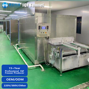 Congelador en Espiral Profesional JH para Procesamiento de Carne en Mataderos, Cumple con la Normativa IQF (Congelación Rápida Individual) - Product Image 3
